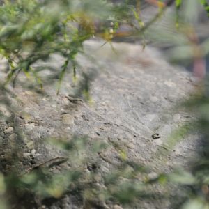 DSC 0081