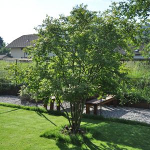 DSC 0085