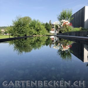 Gartenbecken 143