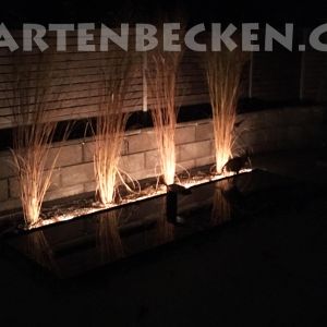 Gartenbecken Bei Nacht 030