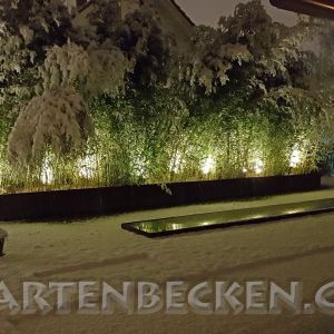 Gartenbecken Bei Nacht 032
