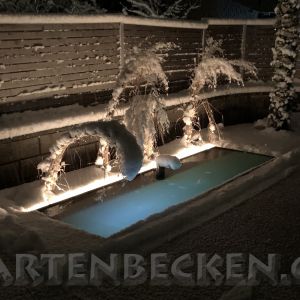 Gartenbecken Bei Nacht 033