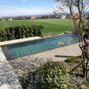 Gartenbecken 163
