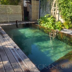 Gartenbecken 171