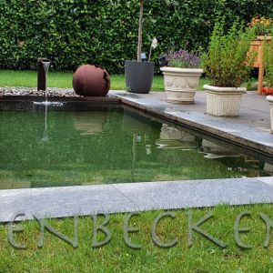Gartenbecken 183