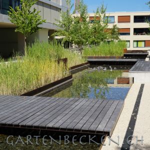 Gartenbecken 193