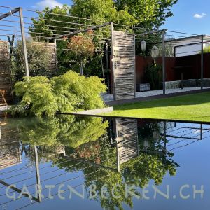 Gartenbecken 195