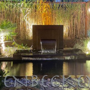Gartenbecken Bei Nacht 020
