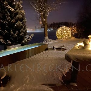 Gartenbecken bei Nacht 035