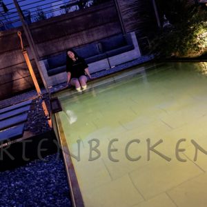Gartenbecken bei Nacht 036
