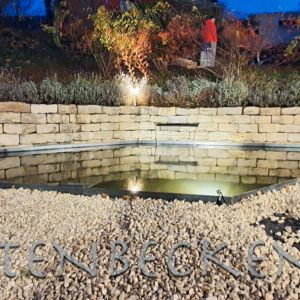 Gartenbecken Bei Nacht 038