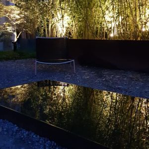 Gartenbecken Bei Nacht 039