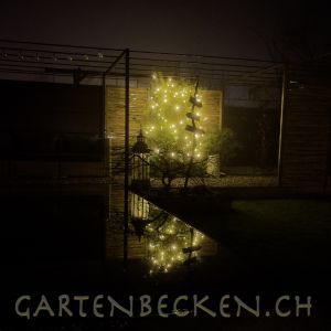 Gartenbecken Bei Nacht 040
