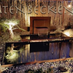 Gartenbecken Bei Nacht 041