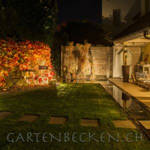 Gartenbecken Bei Nacht 043