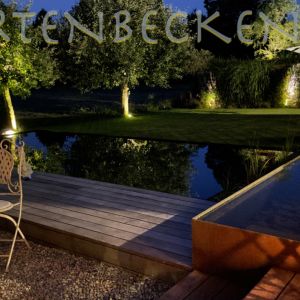 Gartenbecken Bei Nacht 044