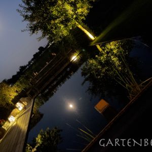 Gartenbecken Bei Nacht 045