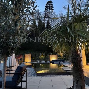 Gartenbecken Bei Nacht 046