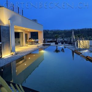 Gartenbecken Bei Nacht 047
