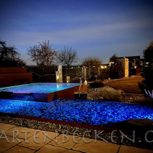 Gartenbecken Bei Nacht 048