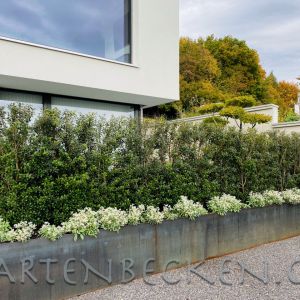 Pflanztrog 020
