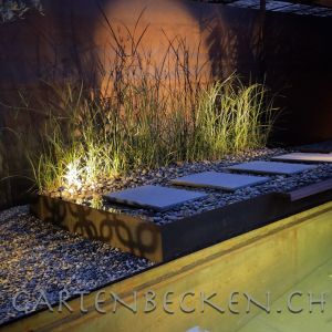 Sichtschutz 024