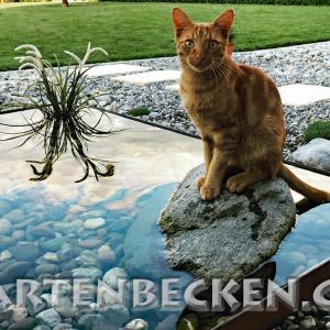 Tiere 010