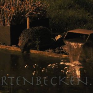 Tiere 011
