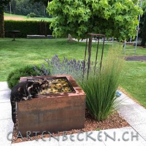 Tiere 017