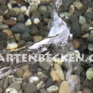 Winter 017