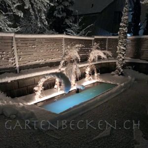 Winter 019