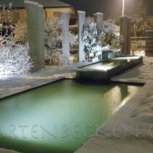 Winter 020