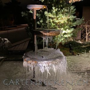 Winter 024